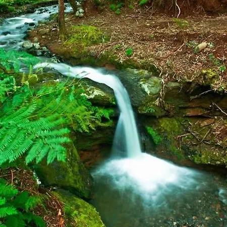 Casa Do Avo Fernando בית נופש