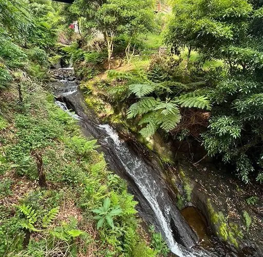 Casa Do Avo Fernando